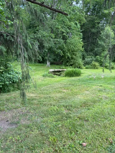 Meadow with lily pond and weeping willow