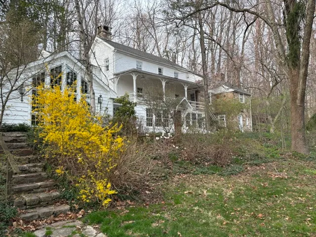 Farmhouse exterior with forsythia in bloom